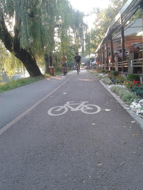 B Apartments - Bike Apartment 蒂米什瓦拉 外观 照片