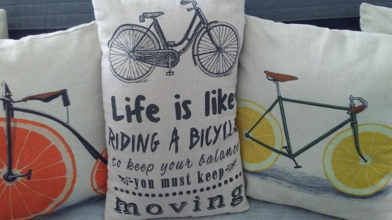 B Apartments - Bike Apartment 蒂米什瓦拉 外观 照片